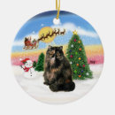 Search for tortie cat ornaments Cats