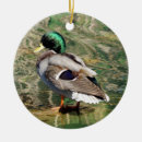 Search for duck hunter ornaments Bird