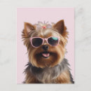 Recherche de funny dog cartes postales Chiot