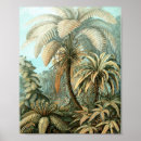 Search for fern illustration posters Vintage