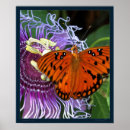 Search for fritillary art Butterfly