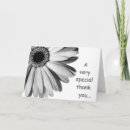 Search for daisy picture cards Black