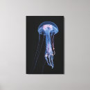 Search for jellyfish posters Biology