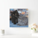 Search for persian clocks Fluffy