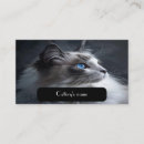 Search for phone number business cards Contact information