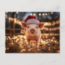 Recherche de becasse cartes postales Animal