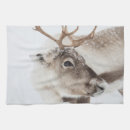 Search for norway tea towels Scandinavia