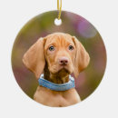 Search for hungarian ornaments Pet