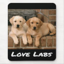 Search for black lab electronics Puppy