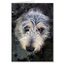 Search for cut up postcards Brown