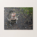 Recherche de oiseau flamboyant Pic