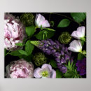 Recherche de fleurs fraîches posters Floral