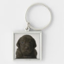 Recherche de photo studio keychains Regarder l'appareil photo