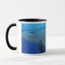 Recherche de cozumel tasses Habitat