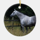 Search for fencing ornaments Horse