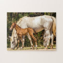 Search for mustang puzzles Herd