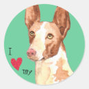 Search for hound stickers Podenco ibicenco