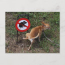 Recherche de interdit posters Non