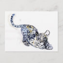 Search for stretch postcards Cute