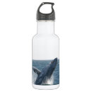 Search for whale water bottles Animal