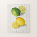 Recherche de citrons puzzles Fruit