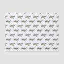 Search for airplane tissue paper Military