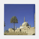 Search for alis magnets Mosque