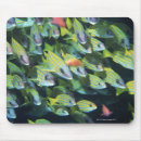 Search for in progress mousepads Nature