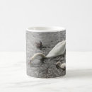 Recherche de étang de canard tasses Canards