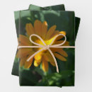 Search for marigold wrapping paper Flowers