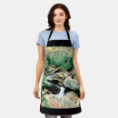Search for stream aprons Landscape