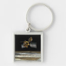 Search for orbital keychains Spacecraft