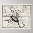 Recherche de scorpion art Constellation