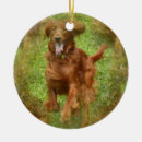 Search for irish setter ornaments Dogs