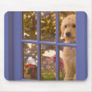 Search for home interior mousepads Sitting