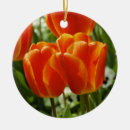 Search for tulip ornaments Orange