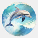 Search for dolphin splash stickers Marine