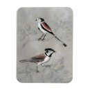 Recherche de paires magnets Animaux