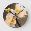 Recherche de orchidées blanches horloges Fleur