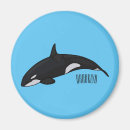 Search for orca whale magnets Fish