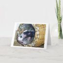 Search for rat cards Mouse