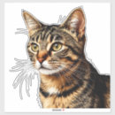 Recherche de pélagique autocollants Animal