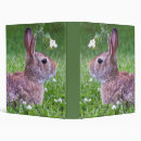 Search for rabbits binders Animals