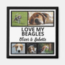 Recherche de hache magnets Chien