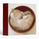 Search for sleeping binders Pets