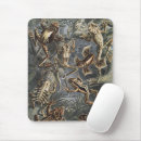 Search for vintage frogs mousepads Dark academia