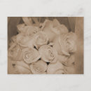 Recherche de robe rose cartes postales Fleur
