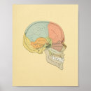 Search for greys anatomy posters Illustration