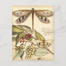Recherche de libellule cartes postales Fleurs