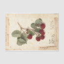 Search for 1908 gift wrap Vintage